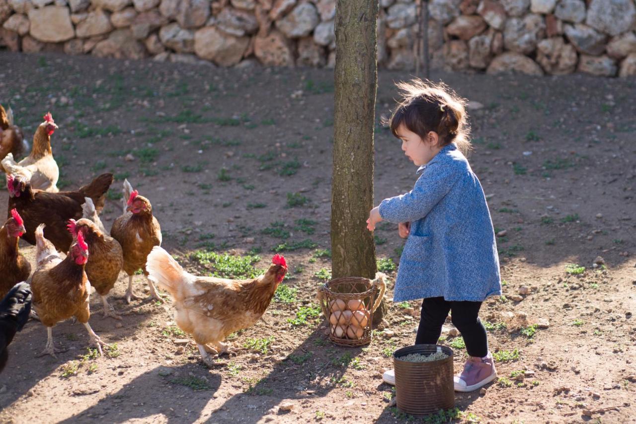 Llucmacanes Gran Agroturismo Mahon  Bagian luar foto