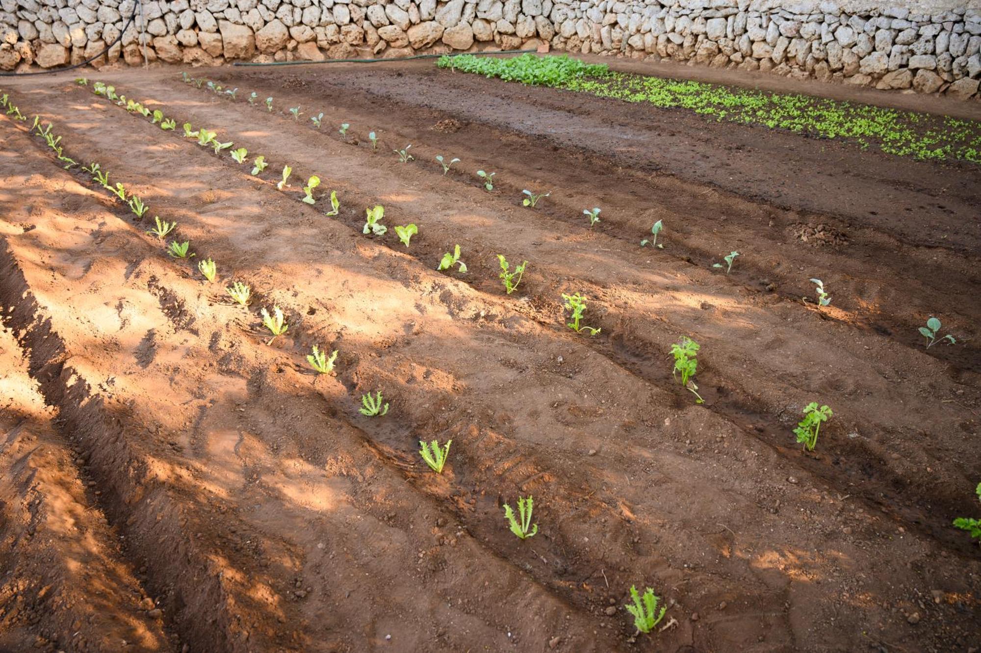 Llucmacanes Gran Agroturismo Mahon  Bagian luar foto